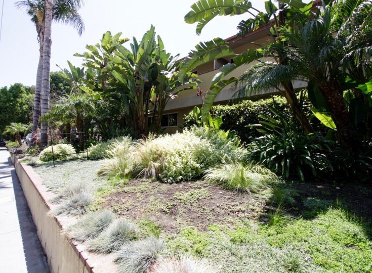 The greenery at Deauville Maison