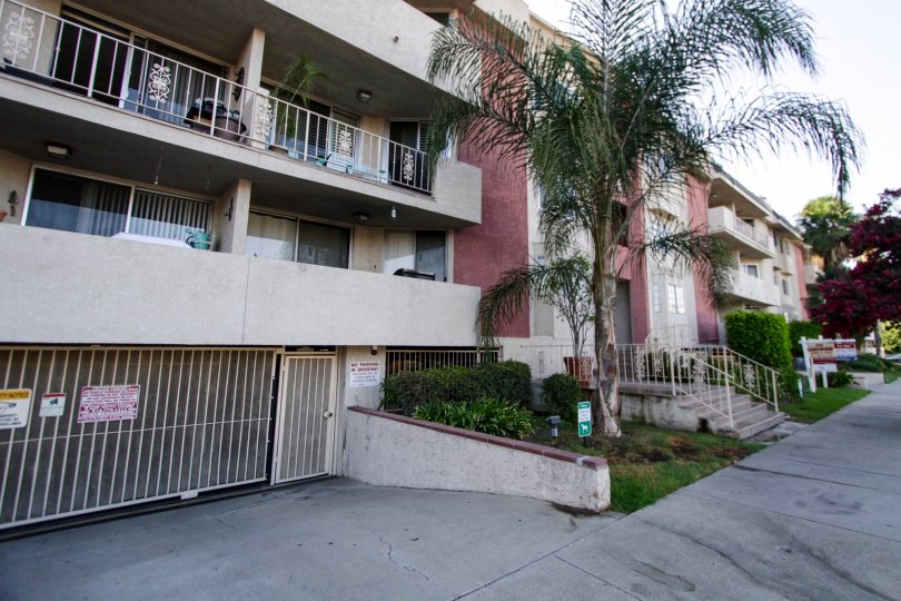 The landscaping around Golden Palms in Sherman Oaks
