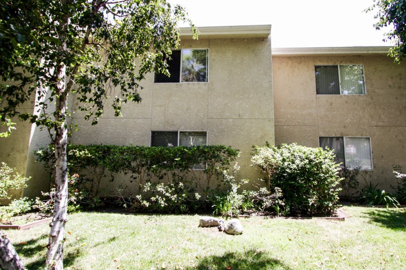 The windows that are seen in the Town & Country Townhomes