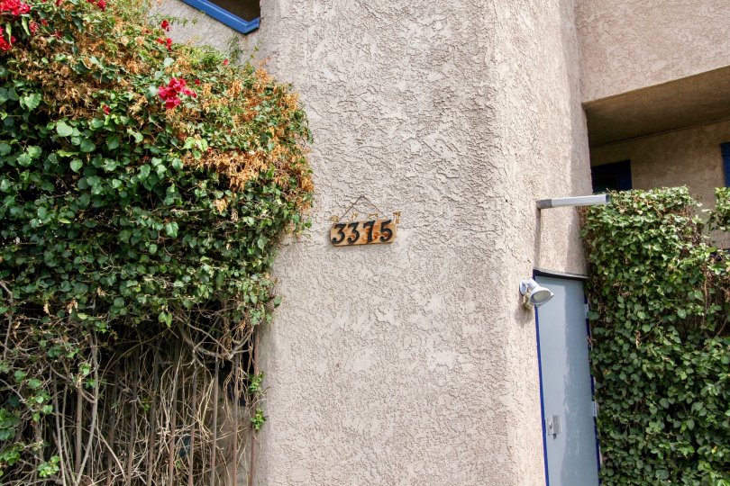 The address for City View in Silver Lake, California