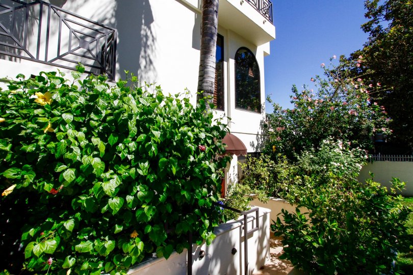 The landscaping seen at 4328 Gentry Ave in Studio City