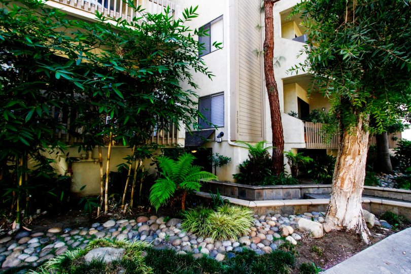 The landscaping around Casa De Valleyheart in Studio City