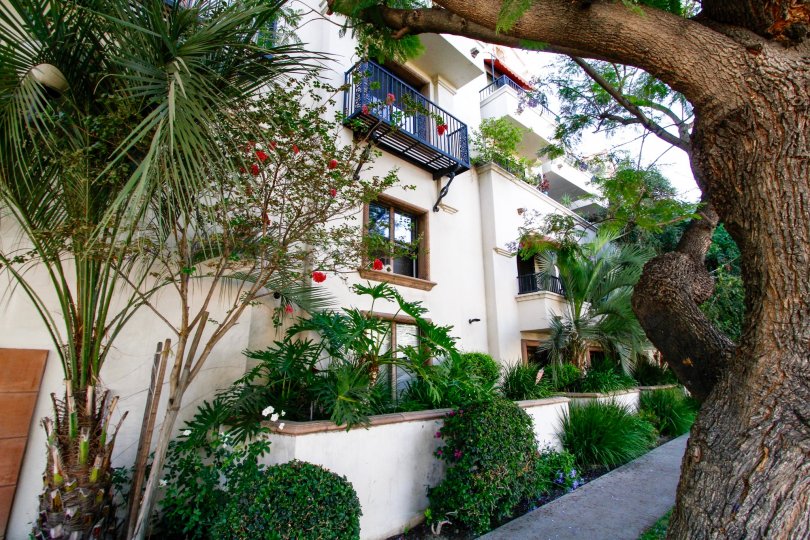 The landscaping seen around the Tamara Condominiums