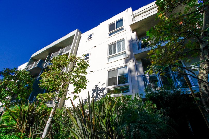 The landscaping around The Element in Studio City