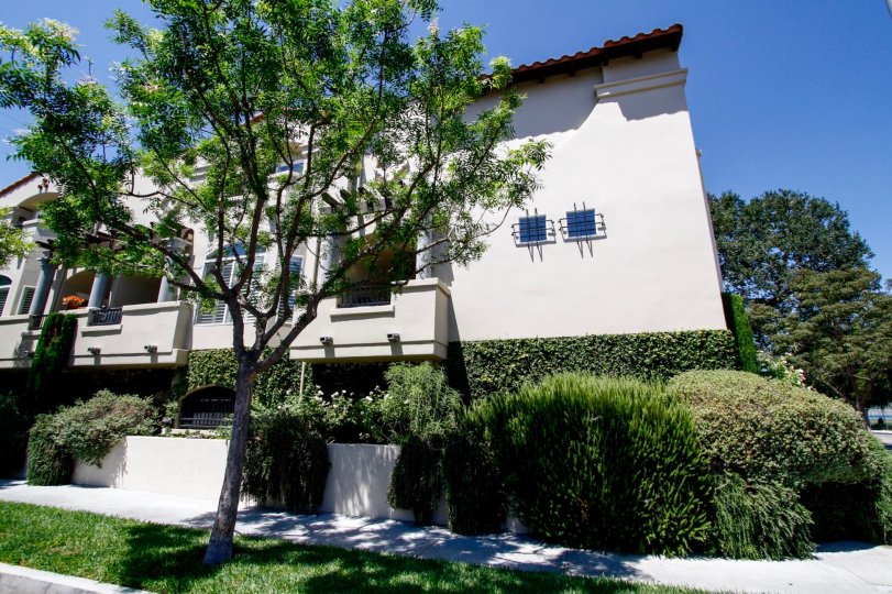 The landscaping at the Villas at Colfax in Studio City