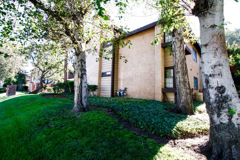 The landscaping seen around the Terrace Balboa
