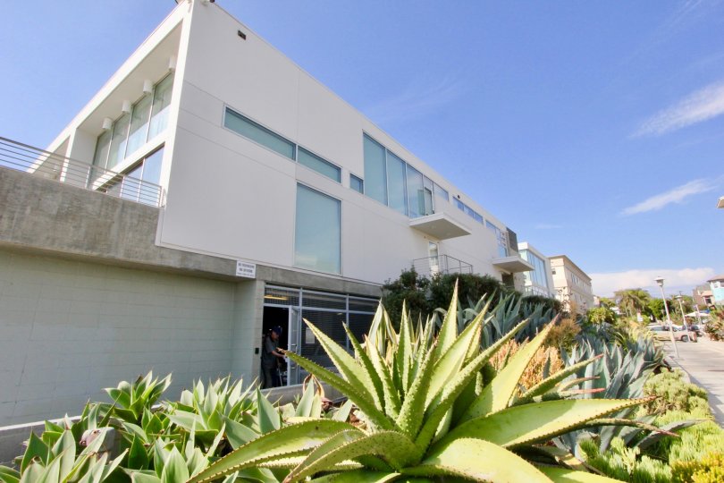 big white building with large parking area in California