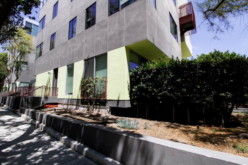 The landscaping around 1200 Sweetzer in West Hollywood
