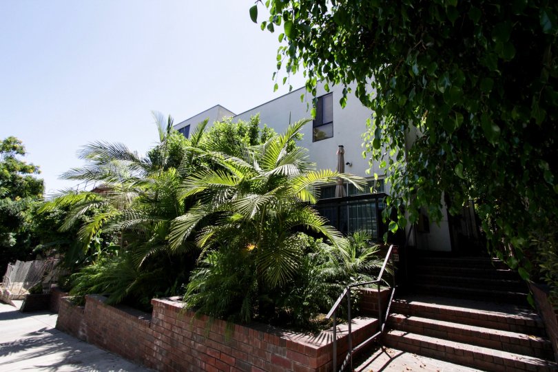 The entrance into 1433 N Harper in West Hollywood