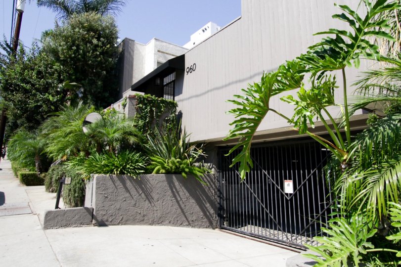 The parking at 960 N San Vicente in West Hollywood