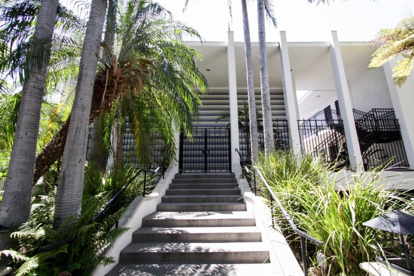 The stairs to the entrance of the Harper Regency in West Hollywood
