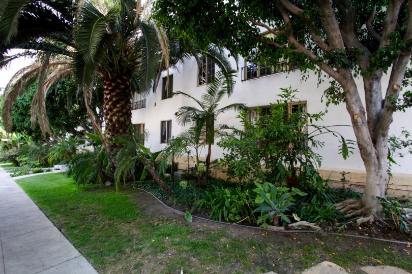 The landscaping around Hayworth Gardens
