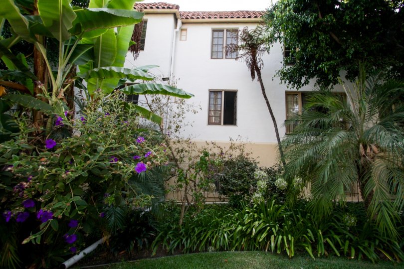 The windows at Hayworth Gardens