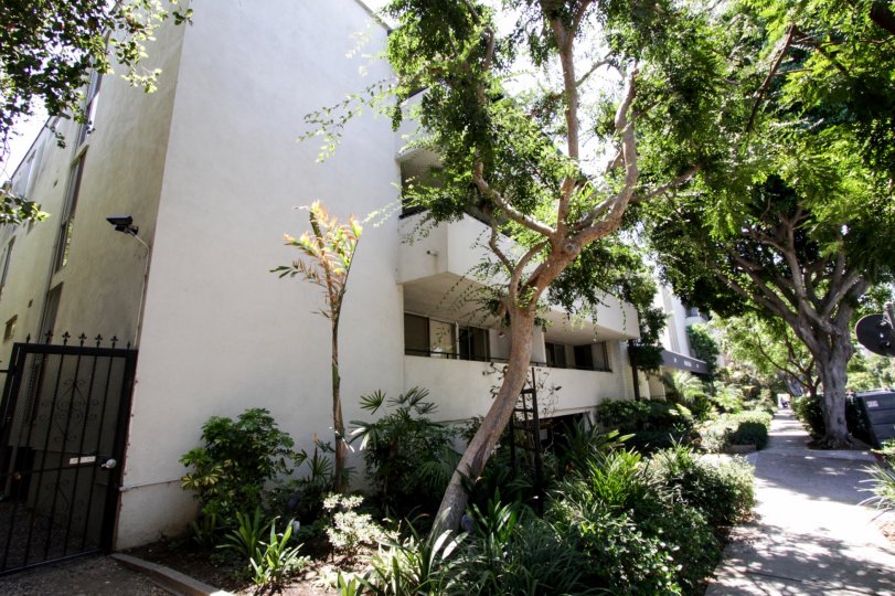 The landscaping seen around Kings Plaza in West Hollywood
