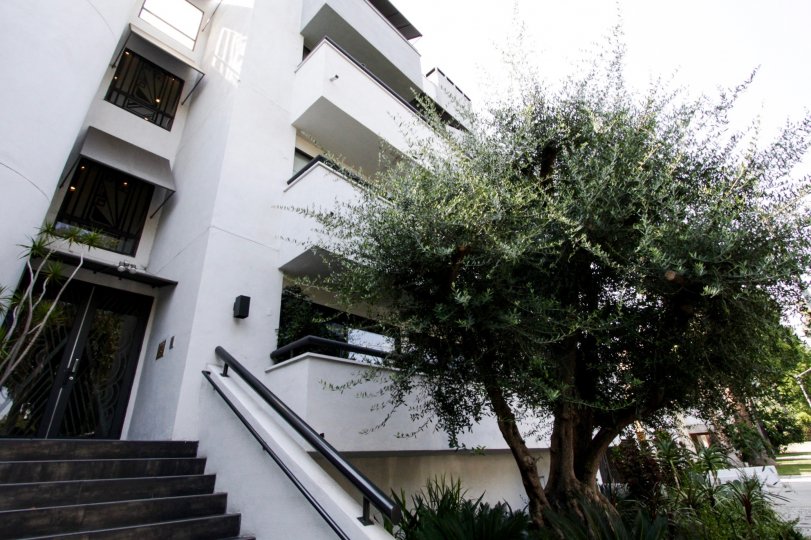 The balconies at Maison Huntley