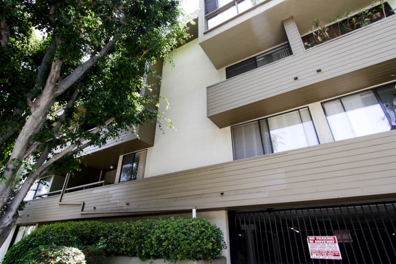 The balconies at Olive Executive Townhomes