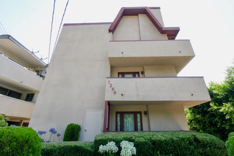 side view of 1264 Ozeta Terrace and her amazing trees, West Hollywood, California
