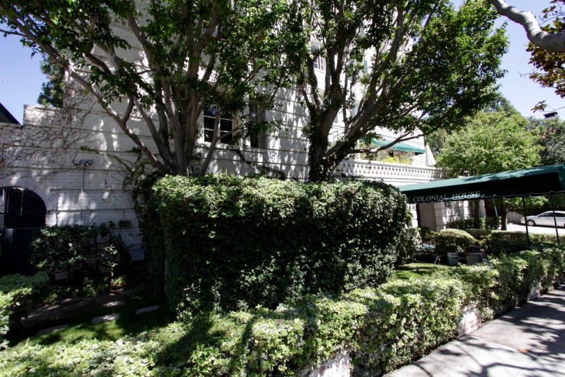 he hedges around The Colonial House