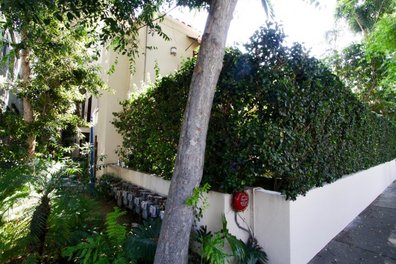The landscaping at the Villa Cynthia