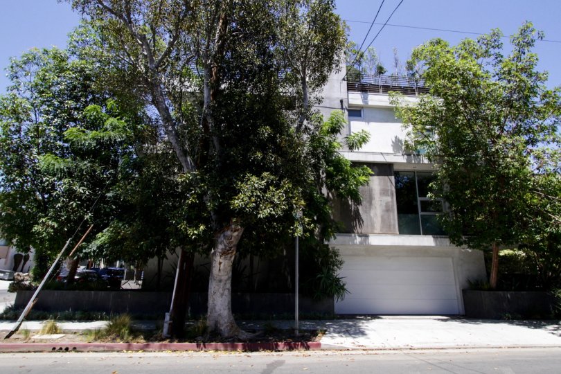 The view of the Warhol Art Lofts building from the street