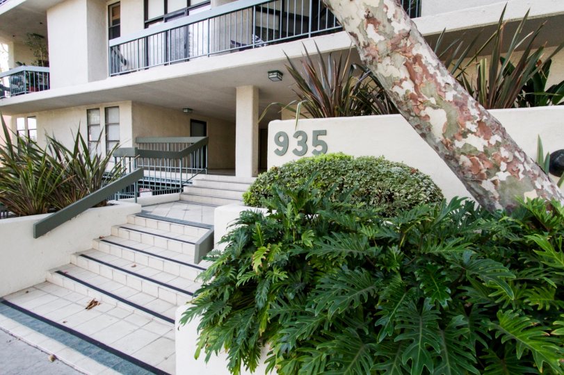 The address for Westbourne Rengecy in West Hollywood