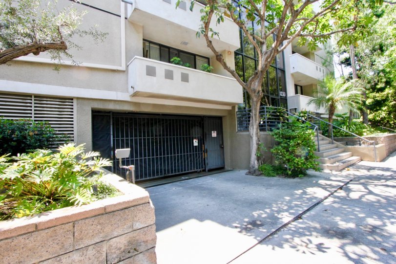 Wanna feel homely while experiencing the extravagant? 1233 Amherst is the place to live your life with loved once