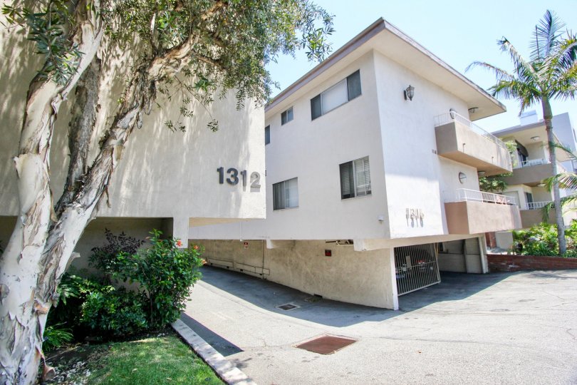 cute neigbhoring apartments and views around 1312 Centinela, West La, California