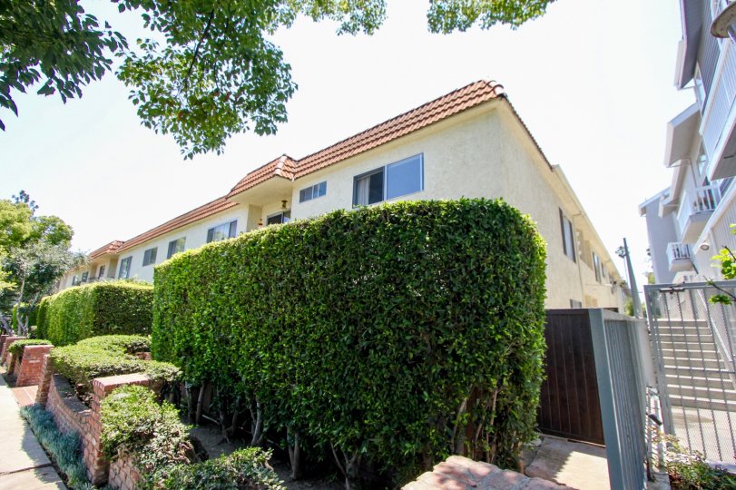 Serene neighborhood of 1323 Carmelina, West La, California