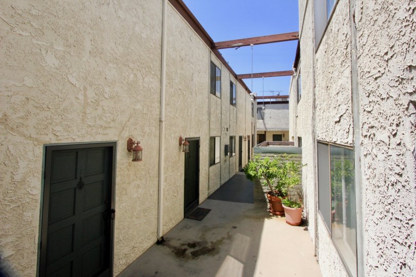 A sunny day at Barrington Gardens with an apartment building.