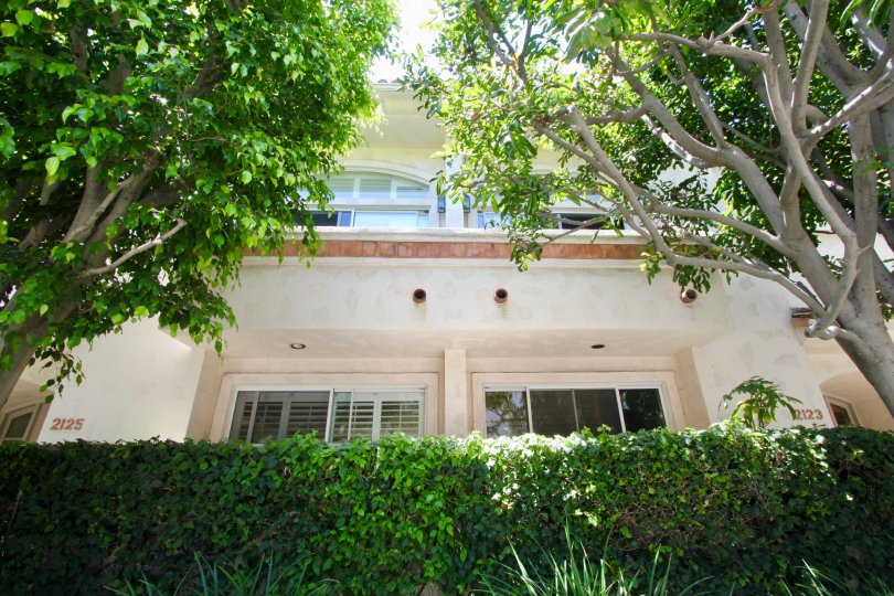 Trimmed hedges and large trees decorate this townhome in West LA
