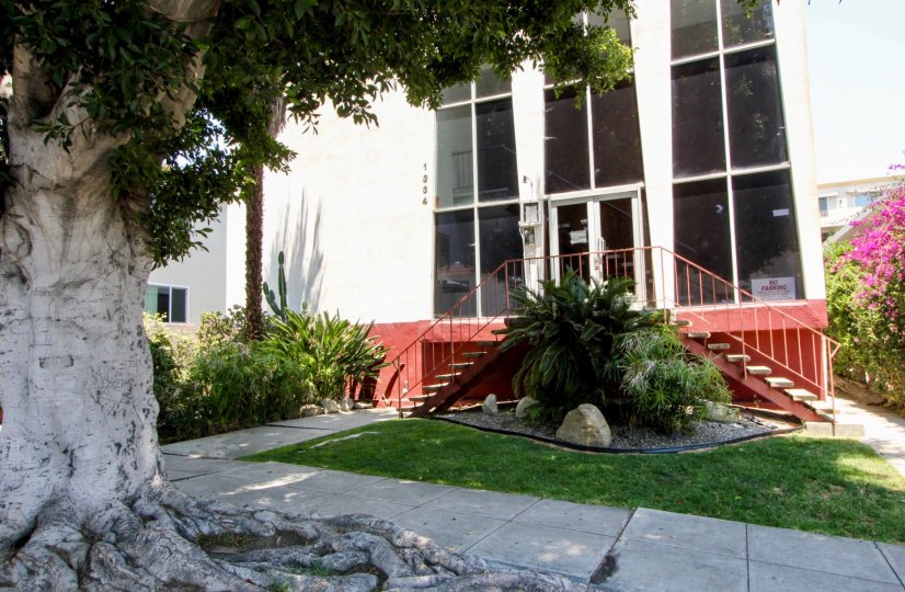 The font of the Carmelina building in West LA, California surrounded by grass and plants
