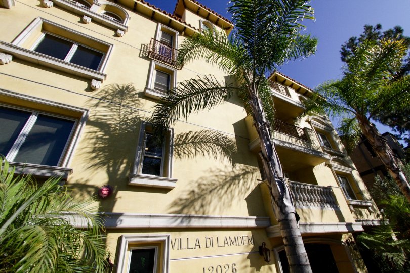 The palm trees that are around the Villa di Lamdeni of West LA