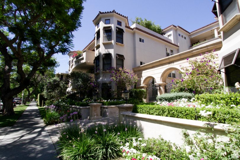 The grounds seen at 1658 Camden in Westwood