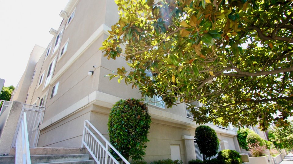 A house in Beverly landmark i and the house side view in step is very beautiful, plants and trees are very like
