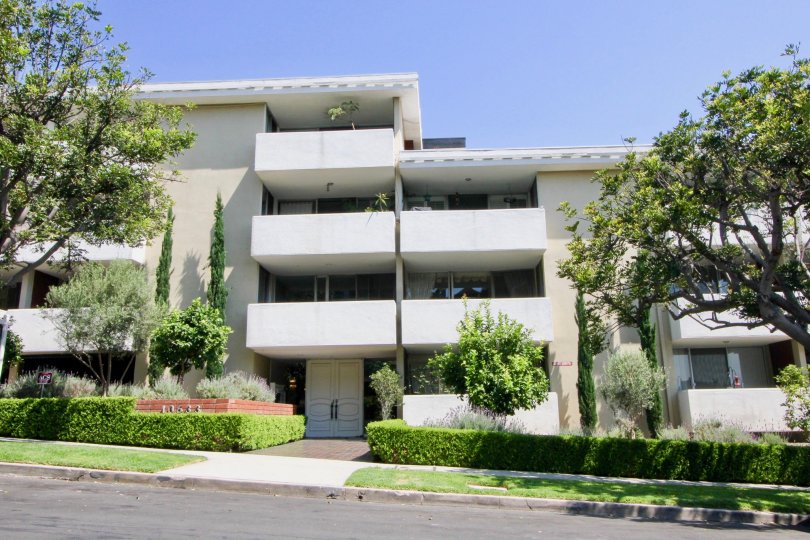 Square shaped building with four pine trees and bushes in Kinnard westwood.