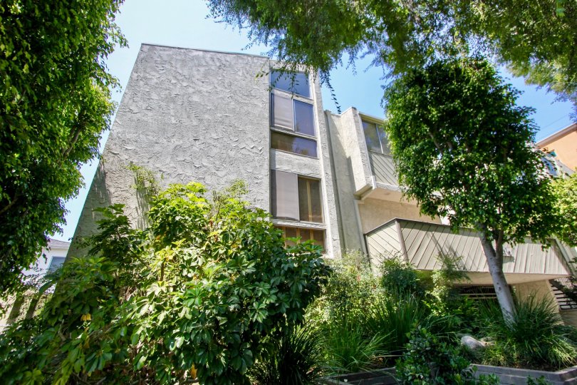 green haven of Thayer Townhomes, Westwood, California