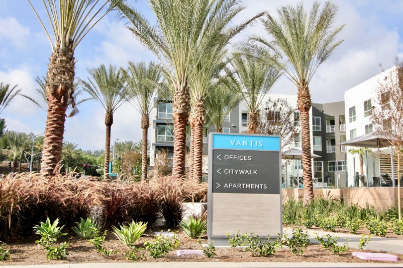 Sunny day in the community of City Walk in Aliso Viejo, California