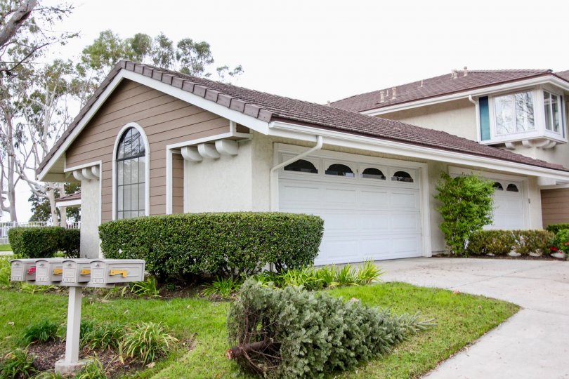 CANYON POINT with attached garage, in-home laundry and large, private fenced backyards. Dramatic two-story entryways lead to great rooms with 9-foot ceilings, lots of large windows, recessed lighting and fireplaces. maintained complex with 2 pools and spa