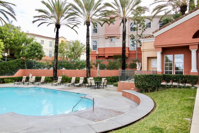 THIS BEAUTIFUL SWIMMINGPOOL IS LOCATED IN THE COMMUNITY SUMMIT RENAISSANCE WHICH HAS THE LOT OF CHAIRS, SHOWS THE LOTS OF TREES, PLANTS, LAWN AND SHOWS THE HOUSE IN THE BACKSIDE