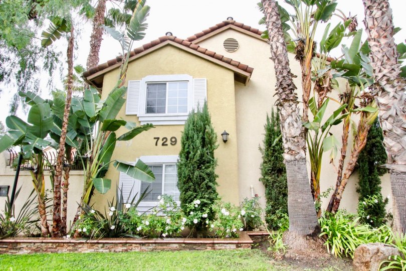 There are some banana trees in the Spring Lake Court with a house.