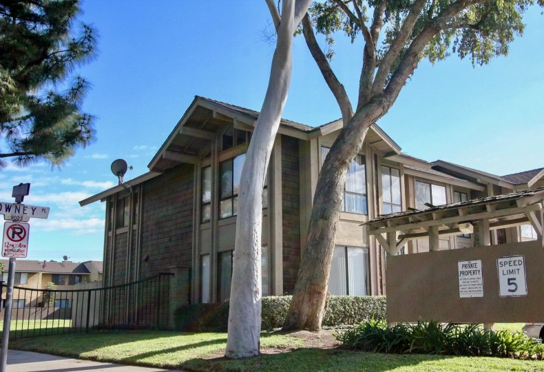 A WARM DAY IN THE Sutter Creek Townhomes WITH A HOUSE THAT HAS TWO TREES IN FRONT AND ROOF LESS TOP