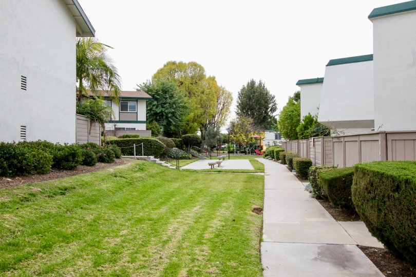 A beautiful lawn in the Highland Greens and building.