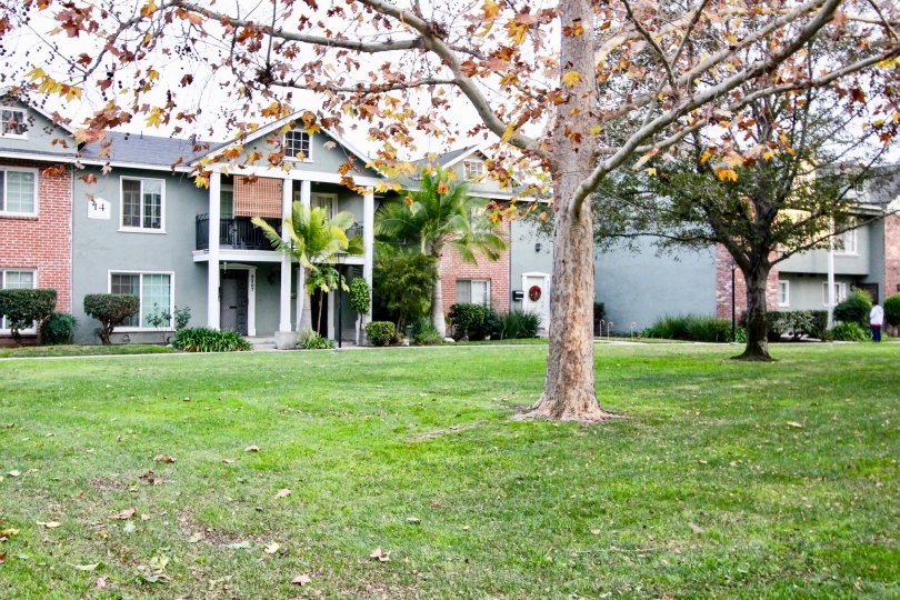 THE BUILDING IN THE MONTICELLO TOWNHOMES WITH THE GRASSLAND, TREES, PLANTS