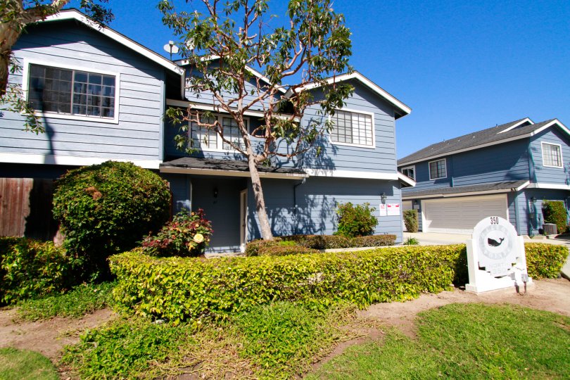 Harbor Pointe North blue home with bushes and trees on a sunny day.