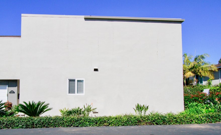 THE BUILDING WALL ONLY VISIBLE LONG AND A SINGLE WINDOW AVAILABLE AND A DOOR AT THE CORNER AND SOME PLANTS ALSO AVAILABLE AT THE MAIN PLACE SOME TREES ALSO AT THE BACKSIDE IN THE MORNING TIME.