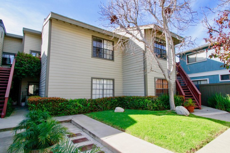 A sunny day in the Sunset Bluffs is looking beautiful houses and also with lawn, trees, plants and steps.