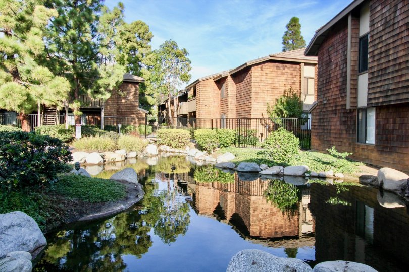 A sunny day in the Harbor Creek with a pond and rocks.