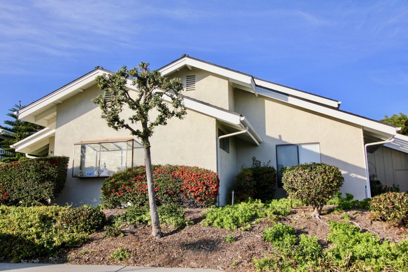 Amazing Sea Ridge In Dana Point California Country