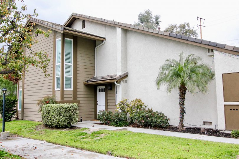 Near pathway to house in Emerald glen has lawn with cutting bushes and plants