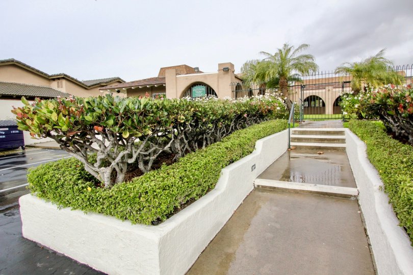 Plants are grown between the cutting bushes at both sides of stairs pathway in Green Valley Townhomes